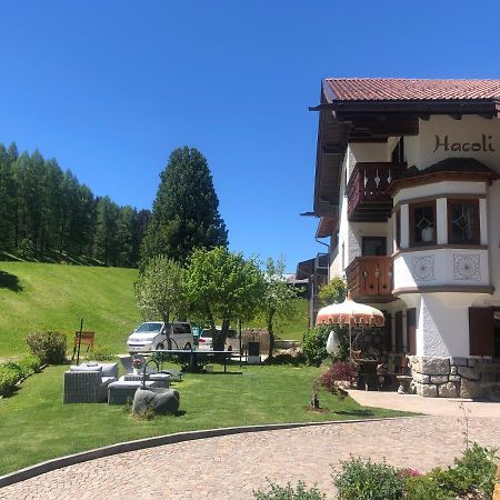 Appartamenti Hacoli Selva di Val Gardena Exterior photo