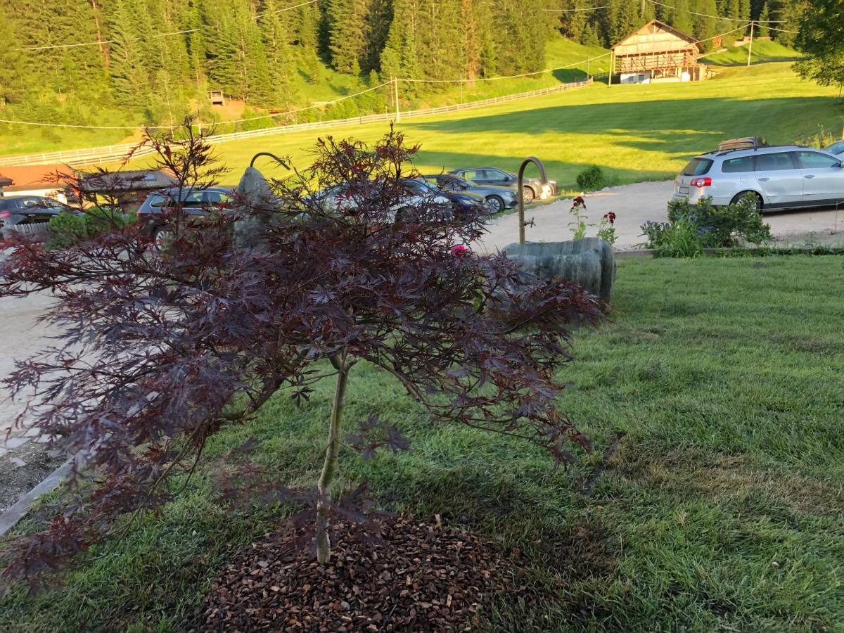 Appartamenti Hacoli Selva di Val Gardena Exterior photo