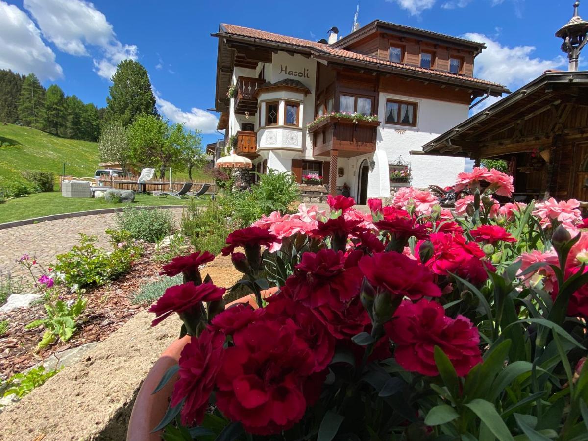 Appartamenti Hacoli Selva di Val Gardena Exterior photo