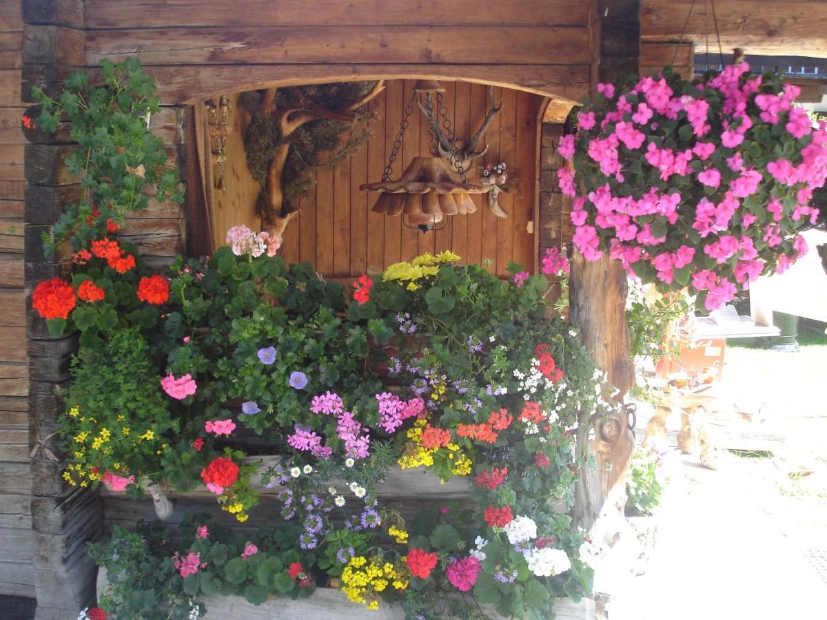 Appartamenti Hacoli Selva di Val Gardena Exterior photo